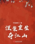 公元200年，长胜将军司鸿程造反，傅氏皇朝消逝，为了以防万一，司鸿程下令将傅氏家族全数杀尽。那日恰逢_涅槃重生，夺江山