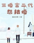 男主女主是萧统,刘仁浩,袁清云的小说是什么_三婚富二代想结婚