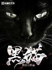 黑猫黑眼球_黑猫