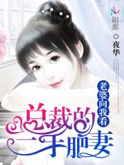 男主女主是张子健,陈墨轩,慕飞飞的小说是什么_总裁的二手肥妻：老婆向我看