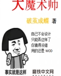 梧桐镇的戏剧会场非常的小，小到只能容纳两百人。今天，梧桐镇的“农业新项目扶持晚会”就在这个小剧场举行_大魔术师