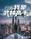 我是都市高手_都市之我是武林高手