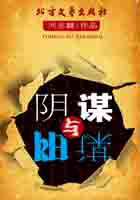 男主女主是张宏略,崔俊成,洪琴琴的小说是什么_阴谋与阳谋