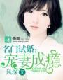 男主女主是宗傲枫,纪夏青,顾子城的小说是什么_名门试婚：宠妻成瘾