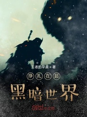 男主女主是枫云,雪琳,维吉丽亚的小说是什么_挣扎在超黑暗世界