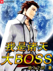 诸天之我不是boss 小说_我是诸天大BOSS