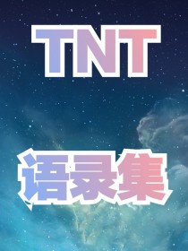 小说《TNT语录集》TXT下载_TNT语录集