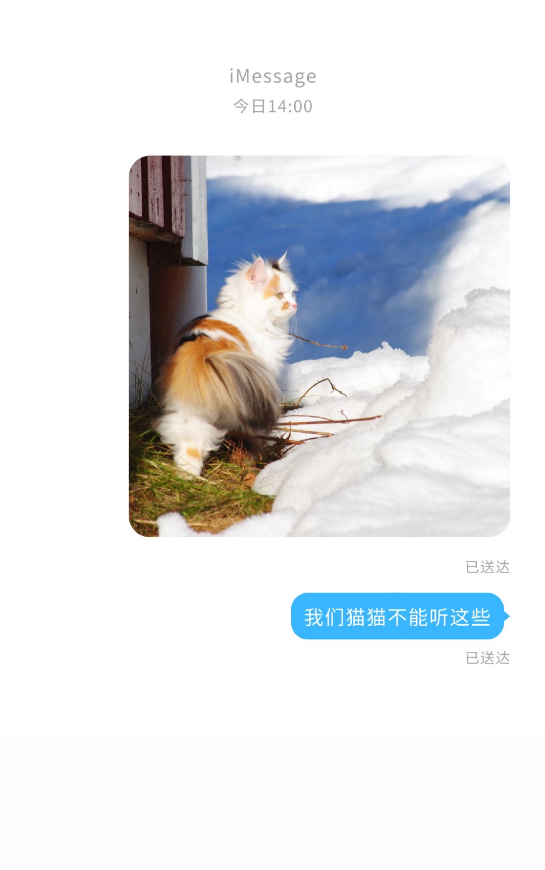 我们猫猫不能听这些_我们猫猫不能听这些