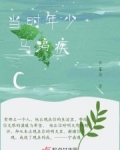 小说《当时年少马蹄疾》TXT百度云_当时年少马蹄疾