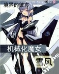 小说《机械化魔女雪风》TXT百度云_机械化魔女雪风