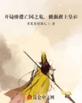 男主女主是李成芳,孙武,韩军的小说是什么_开局惨遭亡国之危，被强推上皇位