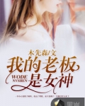 男主女主是龙晓,顾镜月,林梦瑶的小说是什么_我的老板是女神