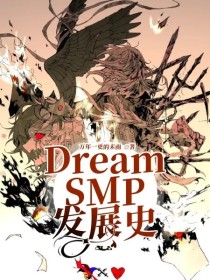 星际发展史_DreamSMP发展史