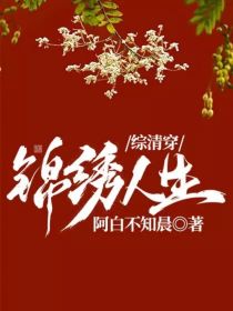 雍正苏培盛《综清穿：锦绣人生》_综清穿：锦绣人生