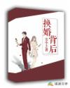 男主女主是汪晴,陈海涛,何志坚的小说是什么_换婚背后