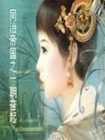 男主女主是李鸿章,李海,左宗棠的小说是什么_同治帝国之一朝奋起