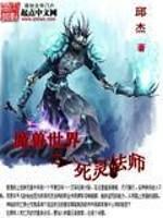 魔兽世界魔法师小说_魔兽世界之死灵法师