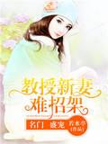 时思年孟友宁《名门盛宠：教授新妻难招架》_名门盛宠：教授新妻难招架