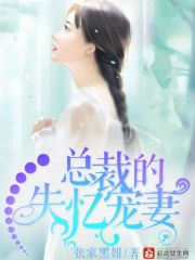 男主女主是吴言,邹伟,吴渭的小说是什么_总裁的失忆宠妻