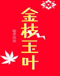 金枝玉叶作者：ababab首发：无极(1)漆黑的夜空中，点缀着无数点亮星。与地面上的万千盏灯火连成一_金枝玉叶