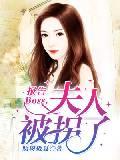 男主女主是蔡佳佳,濮泽西,吕蔚蓉的小说是什么_报告Boss：夫人被拐了