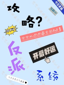 反派系统攻略甜宠文_攻略？反派系统