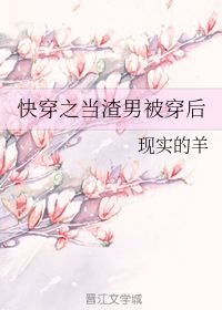 男主女主是瑾瑜,墨雍,张瑾瑜的小说是什么_快穿之当渣男被穿后