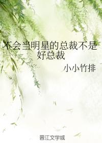 《不会当明星的总裁不是好总裁》作者：小小竹排【完结】喜欢就看，不喜欢也坚持一下，万一好看了呢？房地产_不会当明星的总裁不是好总裁