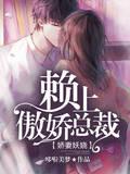 小说《娇妻妖娆：赖上傲娇总裁》TXT百度云_娇妻妖娆：赖上傲娇总裁