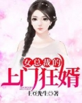 男主女主是林飞,夏晓涵,叶婷婷的小说是什么_女总裁的上门狂婿