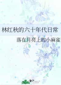 小说《林红秋的六十年代日常》TXT百度云_林红秋的六十年代日常