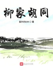 男主女主是柳文新,刘凡杨,范春蓉的小说是什么_柳家胡同
