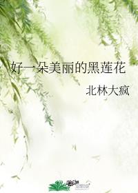 [穿越重生]《好一朵美丽的黑莲花》作者：北林大疯【完结】文案重生后，人人皆以为她江挽衣表面上娇娇弱弱_好一朵美丽的黑莲花