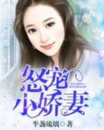 小说《怒宠小萌妻》TXT下载_怒宠小娇妻