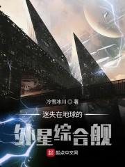 小说《迷失在地球的外星综合舰》TXT百度云_迷失在地球的外星综合舰