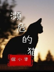 男主女主是王木,蓉蓉,柳嘉灵的小说是什么_濒危的猫