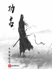 功名小说无错版_功名