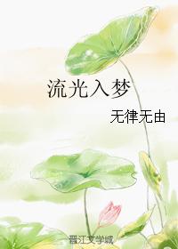 流光如梦小说_流光入梦