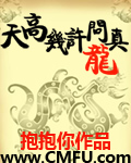 男主女主是程子龙,徐婕,魏敬鸿的小说是什么_天高几许问真龙