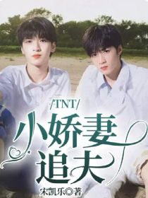 小说《TNT小娇妻追夫》TXT下载_TNT小娇妻追夫