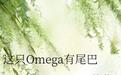 小说《这只Omega有尾巴》TXT下载_这只Omega有尾巴