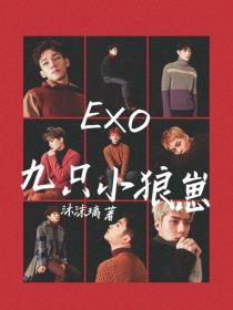 小说《EXO：九只小狼崽》TXT下载_EXO：九只小狼崽