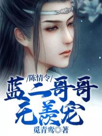 蓝湛聂宁《陈情令：蓝二哥哥无羡宠》_陈情令：蓝二哥哥无羡宠