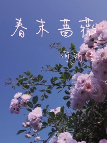 蔷薇之春2_春末蔷薇