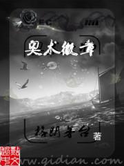 魔兽世界奥术师的徽章_奥术徽章