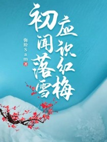 小说《初闻落雪，应识红梅》TXT百度云_初闻落雪，应识红梅