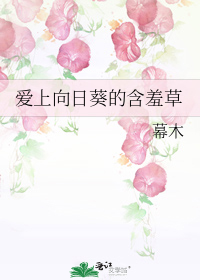 小说《爱上向日葵的含羞草》TXT百度云_爱上向日葵的含羞草