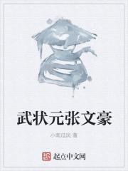 男主女主是卓慧,徐超,刘瑞龙的小说是什么_武状元张文豪