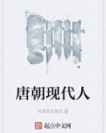 男主女主是陈辰,杨氏,张公瑾的小说是什么_唐朝现代人