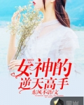 男主女主是陈洛,江宇,何文魁的小说是什么_女神的逆天高手